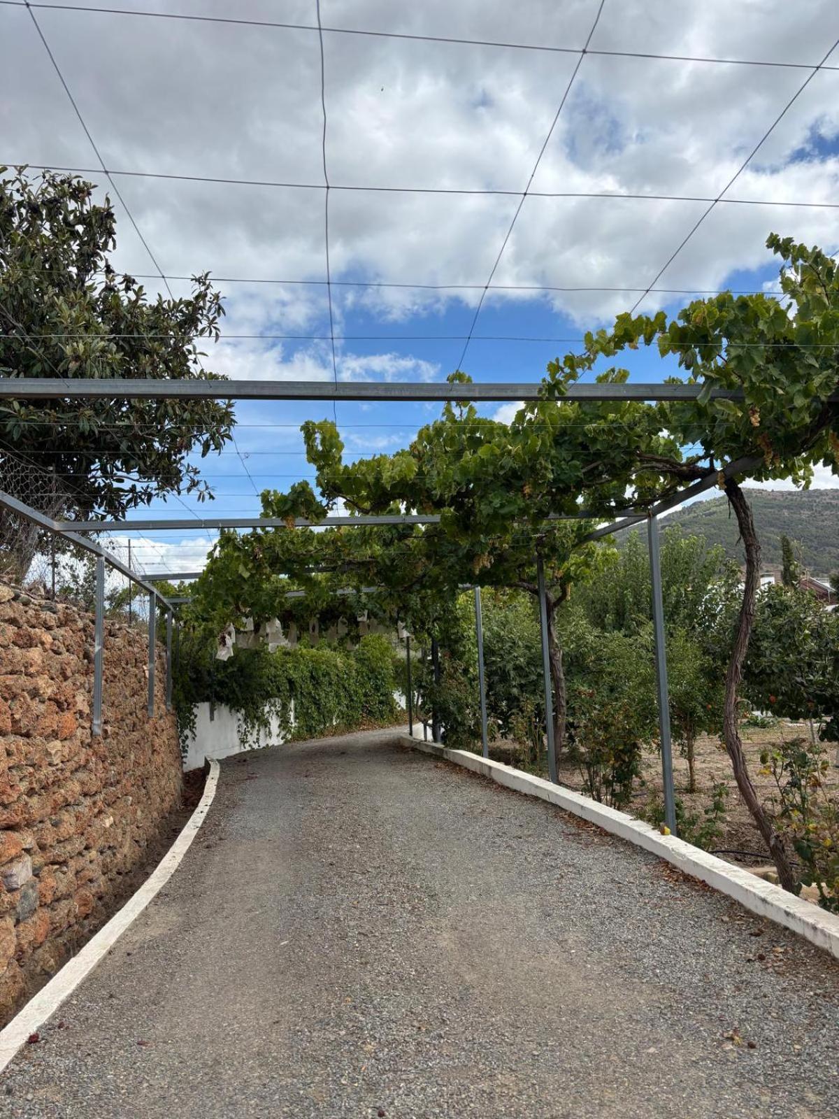 El Domingo En El Valle Fondón Εξωτερικό φωτογραφία